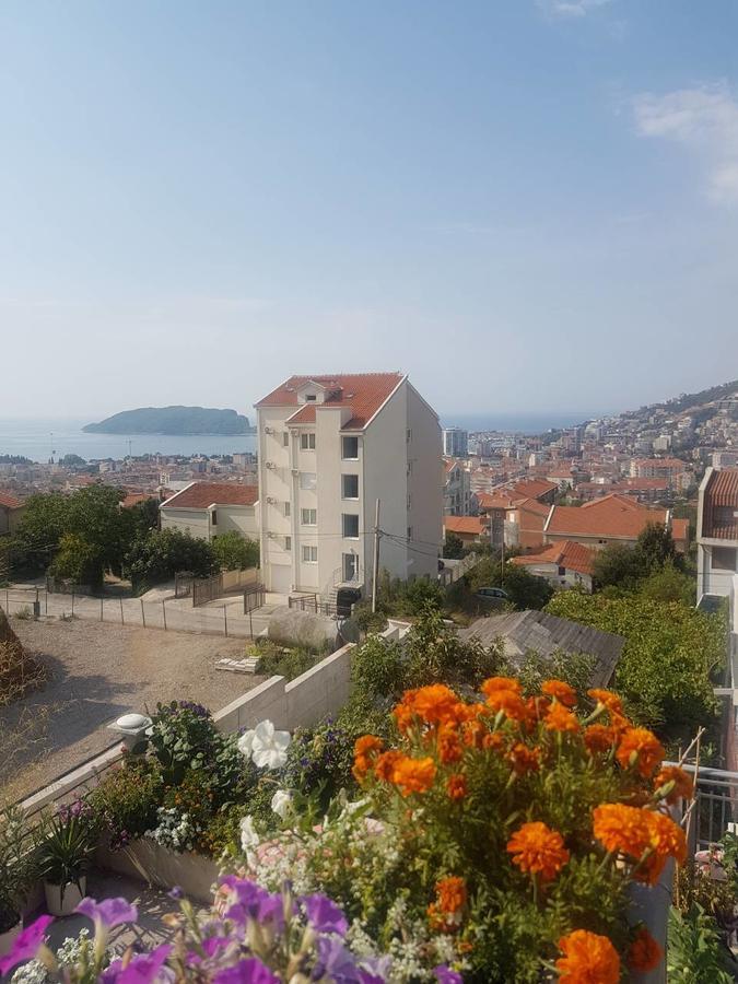 Country house Georgijevic & Budva